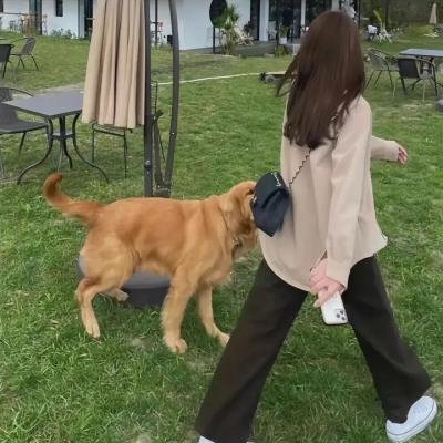 第三春